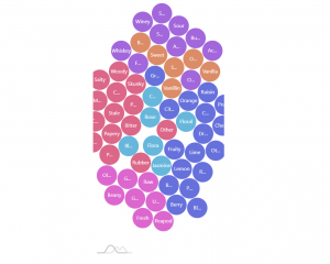 Anatomy of a Force Directed Tree – amCharts 4 Documentation